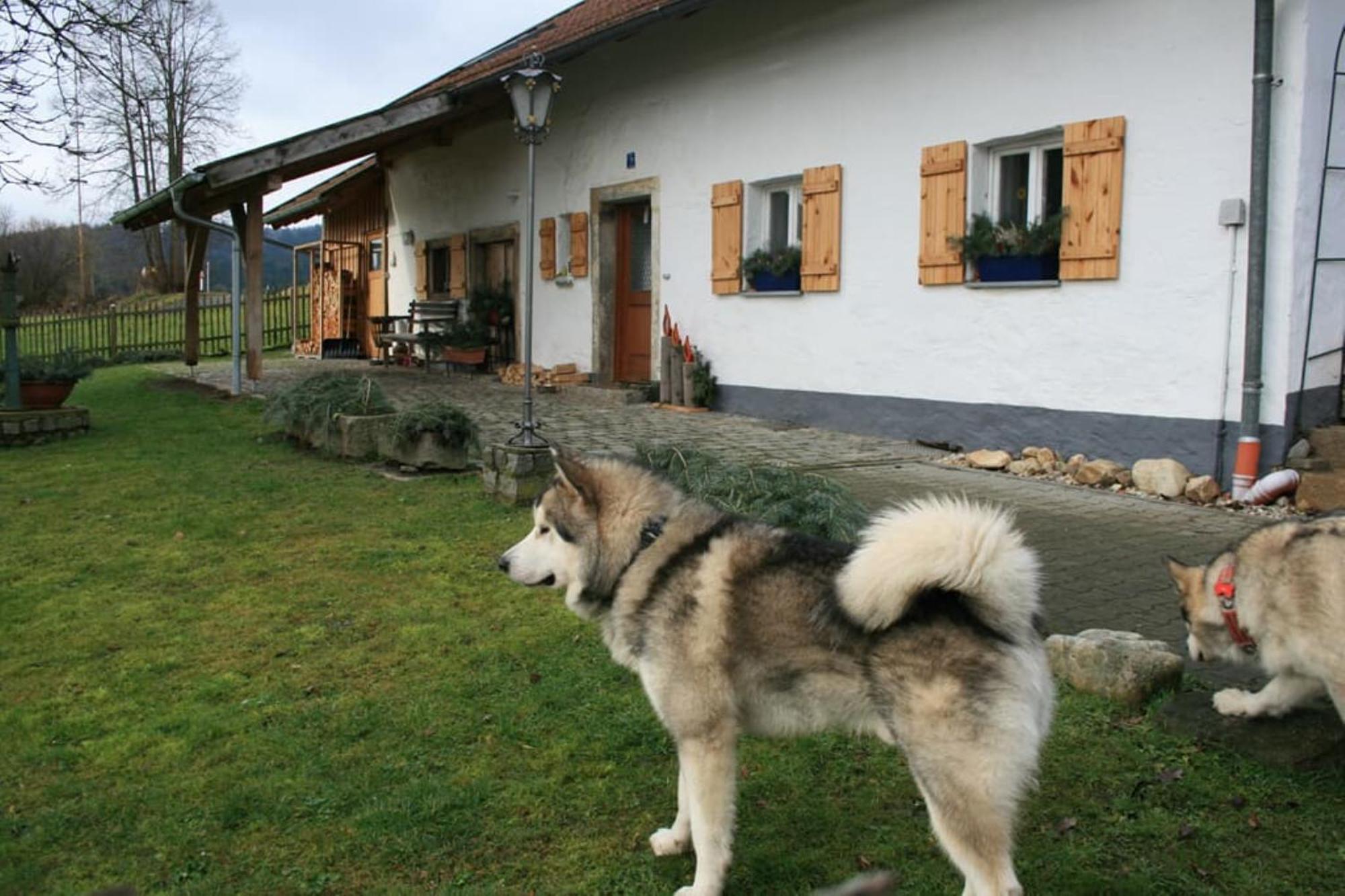Ferienhaus Winter Blaibach Luaran gambar